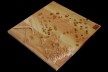 Maqueta Territorio<br />divulgación 