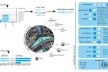 Figura 10 - Complexo da lagoinha: Diagrama de Meso-Estrutura (índices ambientais, poluição, etc)