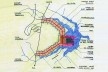 Plano Piloto de Brasília, concurso nacional, 1957. Arquiteto Joaquim Guedes e equipe [Revista Urbs nº 44]