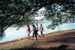 Lago do Parque do Ibirapuera<br />Foto Clayton Lino 