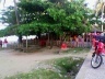 Barraca de praia em Ponta Verde - Maceió, AL<br />Foto Isadora Padilha 
