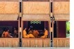 Escuela Primaria Jerusalen de Miñaro, Comunidad nativa de Jerusalén de Miñaro, Pangoa, Satipo, Junín, Perú, 2017. Arquiteta Marta Maccaglia (autora) / Asociación Semillas<br />Foto Eleazar Cuadros 