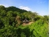 Learning Viewpoint, Cerro Blanco Protected Forest, Guayaquil, Ecuador, 2022. Architects David Barragán, Pascual Gangotena, Maríaluisa Borja and Esteban Benavides (authors) / Al Borde<br />Foto/photo Jag Studio 