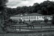 Fazenda do Pau Grande, Paty do Alferes RJ<br />Foto Nego Miranda 