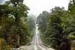Estrada Austral [Foto Magdalena Correa]