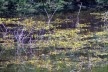 Geossítio Serra Verde<br />Foto Andrea Melo 