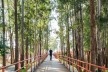 Parque Sabesp Cangaíba. Levisky arquitetos estratégia urbana<br />Foto Ana Mello 