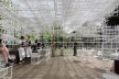 Pavilhão Serpentine. Sou Fujimoto, 2013<br />Foto Eduardo Pierrotti Rossetti 