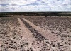 Richard Long, "A line in the Bolivia", 1981 [www.richardlong.org]