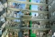 Corredor central do condomínio. Concurso Habitação para Todos. CDHU. Edifícios de 6/7 pavimentos - 2º Lugar. <br />Autores do projeto  [equipe premiada]