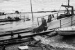 Urubus sobrevoam o porto de Manaus<br />Foto Tommaso Protti, 2017  [Série Terra Vermelha]
