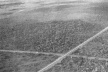 Vista aérea do eixos em construção [Acervo Fundação Oscar Niemeyer]