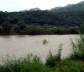 Chegando a Inhotim<br />Foto Denise Teixeira 