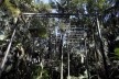 Escultura “O descanso da sala” de José Spaniol, instalada no Parque Burle Marx<br />Foto Helena Martins Costa 