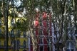 Edifícios na Avenida Liberdade, Lisboa<br />Foto Juliano Carlos Cecílio Batista Oliveira 