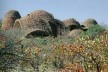 Peter Rich, Centro de intepretação no Parque Nacional e Paisagem Cultural de Mapungubwe, Limpopo, República Sul-africana<br />Foto divulgação 