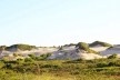 Parque Estadual de Itaúnas<br />Foto divulgação  [EREA 2014]