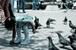 Menina e pombos em frente ao Teatro Nacional II, San José, Costa Rica<br />Foto Junia Mortimer 