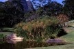 Os projetos de paisagismo são um dos assuntos centrais que perpassam a correspondência de Roberto Burle Marx – caso dos jardins de Odette Monteiro, em Correas, Petrópolis, hoje abandonados<br />Foto de Andrés Otero  [Acervo GMD]