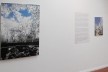 Exposição Rosângela Dorazio<br />Foto divulgação 