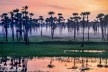 Exposição “Lembranças de um tempo que não acaba”<br />Foto Valdeci Ribeiro 