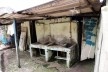 Exemplar do uso compartilhado de áreas molhadas das HCPAs levantadas<br />Foto divulgação  [Camila Coelho, 2014]
