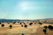 Paisagem de planície na Anatólia<br />Foto Maria Cristina Wolff de Carvalho 