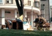 Moradores de rua<br />Foto NK 