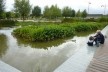 Parque Martin Luther-King Park: Oferece uma variedade de ambientes que conciliam biodiversidade, drenagem natural e filtragem das águas das chuvas, recreação e hortas para estudantes. <br />Foto Cecilia Herzog 