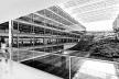 Perspectiva interna