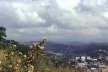 Vista geral da cidade de Cataguases, na Zona da Mata de Minas Gerais<br />Foto Antonio L. D. de Andrade / Cecília Rodrigues dos Santos 