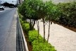 Exemplo de calçada e sarjeta drenantes<br />Foto Álvaro Rodrigues dos Santos 