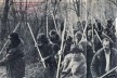 Rettet den Wald, Joseph Beuys
