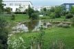 Rieselfeld, Frieburg<br />Foto Cecilia Herzog 