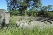 Parque Natural do Pedroso, atual situação, Santo André SP<br />Foto Arthur Ribeiro Molinari 