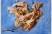 John Ruskin, <i>Study of Spray of Dead Oak Leaves</i>, 1879. Aquarela<br />Imagem divulgação  [Coleção Guild of St George (Museu Sheffield)]