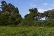 Ponto de ônibus na Vila Xavier, Araraquara<br />Foto Abilio Guerra 