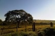 Ensaio “Paraíso escondido”<br />Foto Abilio Guerra 
