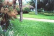 Jardim, Fazenda Vargem Grande, Areias SP, 1979<br />Foto Ana Rosa 2000 