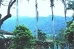Jardim Fazenda Vargem Grande, Areias SP, 1979<br />Foto Ana Rosa 2000 