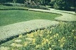 Jardim Alberto Kronsforth, (Hoje Ralph Camargo), Teresópolis, 1965 [Manchete, data desconhecida]