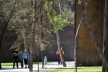 Memorial to Victims of Violence in Mexico National<br />Photo Luby Springall 