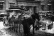 Terminal da estação de cavalos, Nova York, 1893<br />Foto Alfred Stieglitz 