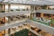 Sede Natura São Paulo – NASP, São Paulo, 2017. Arquitetos Lilian Dal Pian e Renato Dal Pian<br />Foto Nelson Kon 