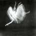 The National Ballet of Cuba