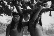 Exposição “Nu Xingu”<br />Foto Valdir Zwetsch 
