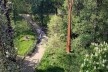 Kew Gardens, Xstrata Walkway Treetop, Londres<br />Foto Francine Sakata 