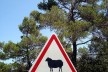 Placa em Aix-en-Provence, França<br />Foto Michel Gorski 