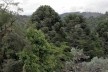 Paisagem de Monte Verde<br />Foto Helena Guerra 