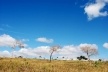 Paisagem rural do município de Santa Cruz de Salinas MG<br />Foto Fabio Lima 